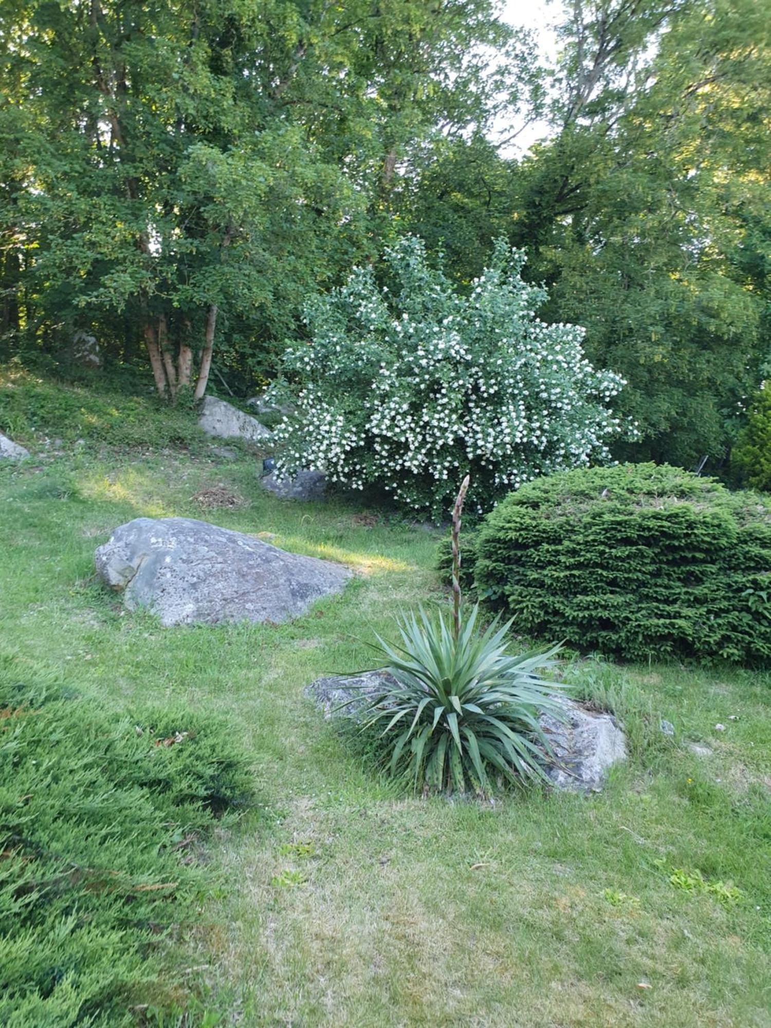 Bed and Breakfast Le Jardin Des Roches Moigny Экстерьер фото